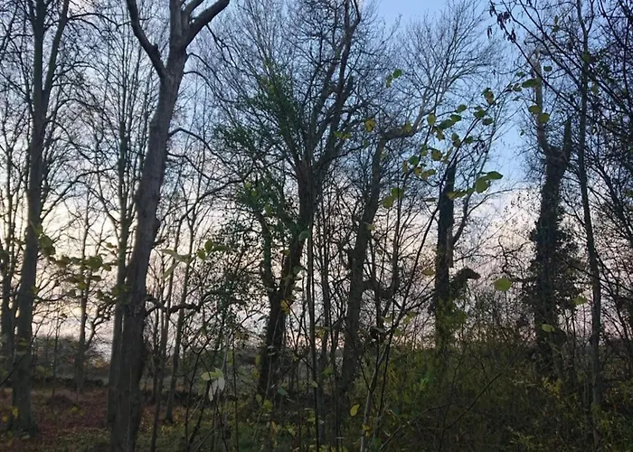 4 Person In Rudkobing-by Traum * Rudkøbing